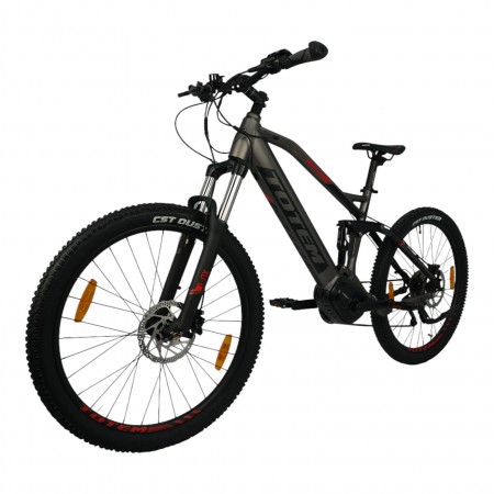 TOTEM Fully E-Bike Carry Grau 20 Zoll