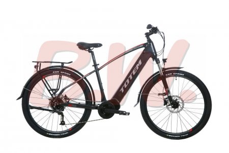 TOTEM Trekking E-Bike Mythos Anthrazit 18 Zoll