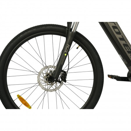 TOTEM E-Bike Maurice Pro Silber 19 Zoll