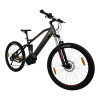 TOTEM Fully E-Bike Carry Grau 20 Zoll
