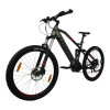 TOTEM Fully E-Bike Carry Grau 20 Zoll