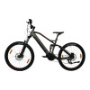 TOTEM Fully E-Bike Carry Grau 20 Zoll