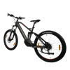 TOTEM Fully E-Bike Carry Grau 20 Zoll