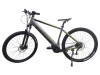 TOTEM Hardtail E-Bike Maurice Silber 19 Zoll