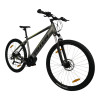 TOTEM Hardtail E-Bike Maurice Silber 19 Zoll