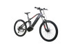 TOTEM Fully E-Bike Carry Pro Grau 20 Zoll