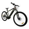 TOTEM E-Bike Maurice Pro Silber 19 Zoll
