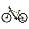 TOTEM E-Bike Maurice Pro Silber 19 Zoll