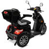 Rolektro E-Trike 25 V.3 Lithium Schwarz