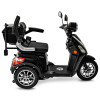 Rolektro E-Trike 25 V.3 Lithium Schwarz