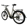 TOTEM City E-Bike Elura Silber 22 Zoll