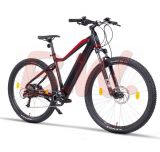 Fitifito MT29 E-Bike Schwarz Rot 19,3 Zoll