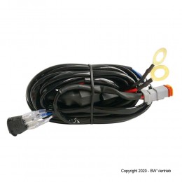 Kabelsatz DT Stecker auf Ösen 2 Phasen