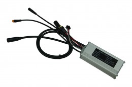 Controller 250W für MATE X